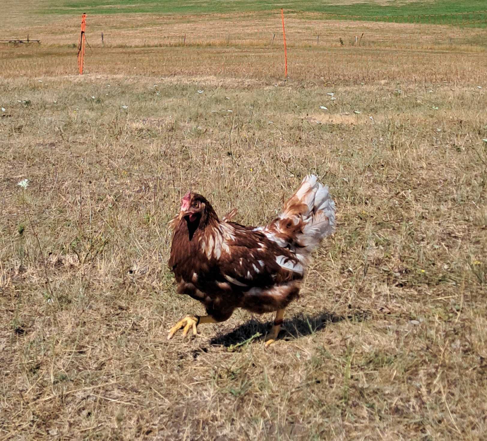 Fotó róla: Borcsa