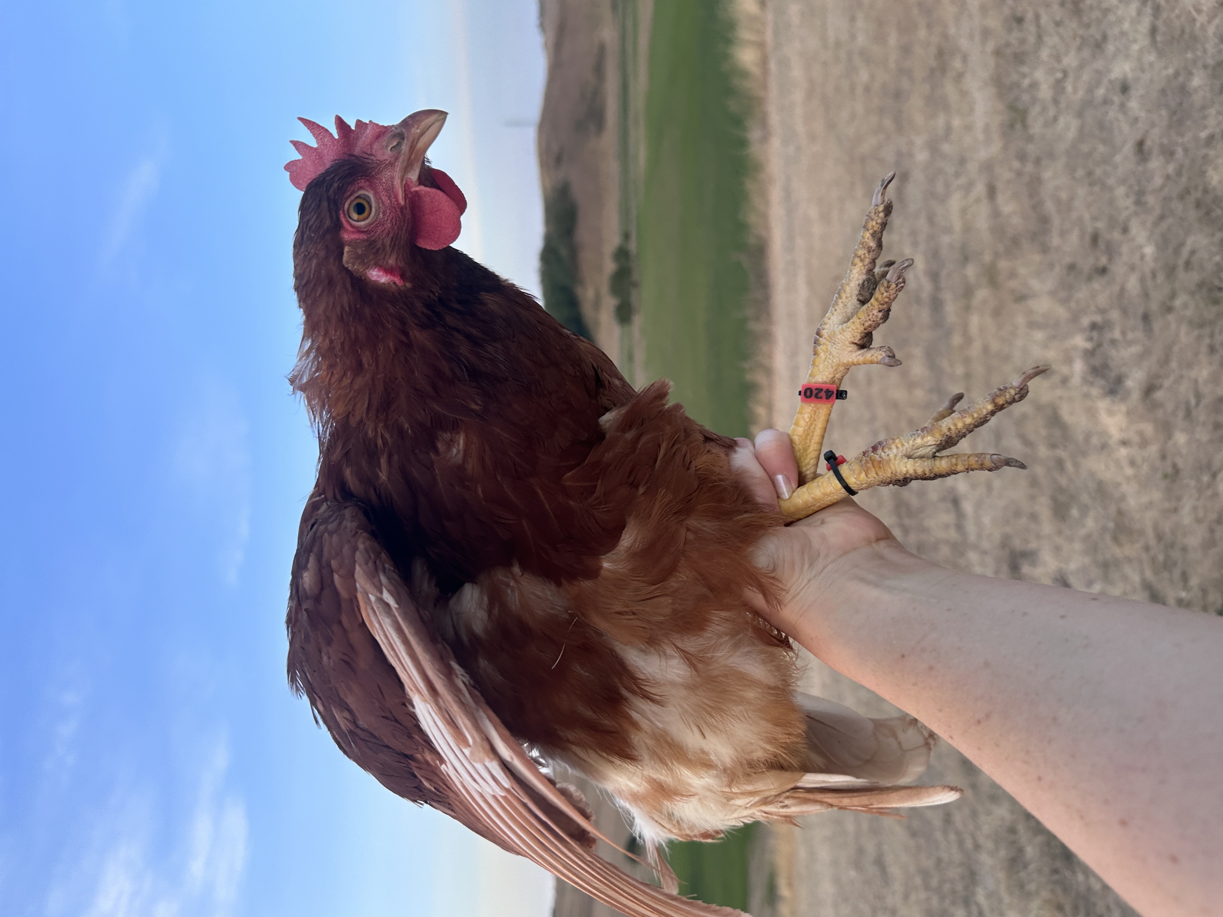 Fotó róla: Matilda