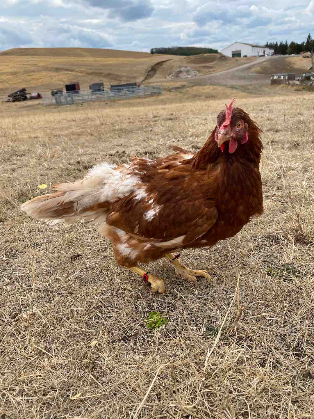 Fotó róla: Aranka