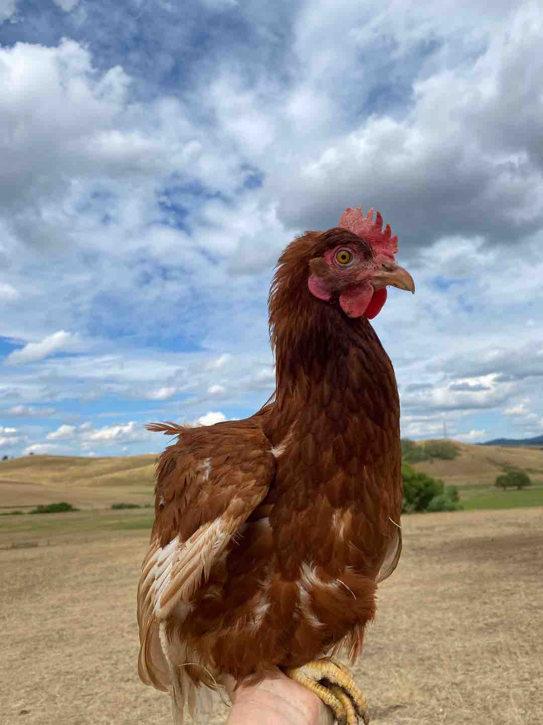 Fotó róla: Aranka