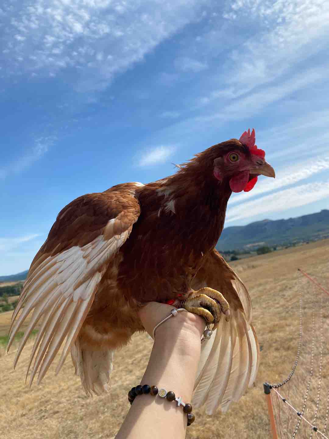 Fotó róla: Marcipán