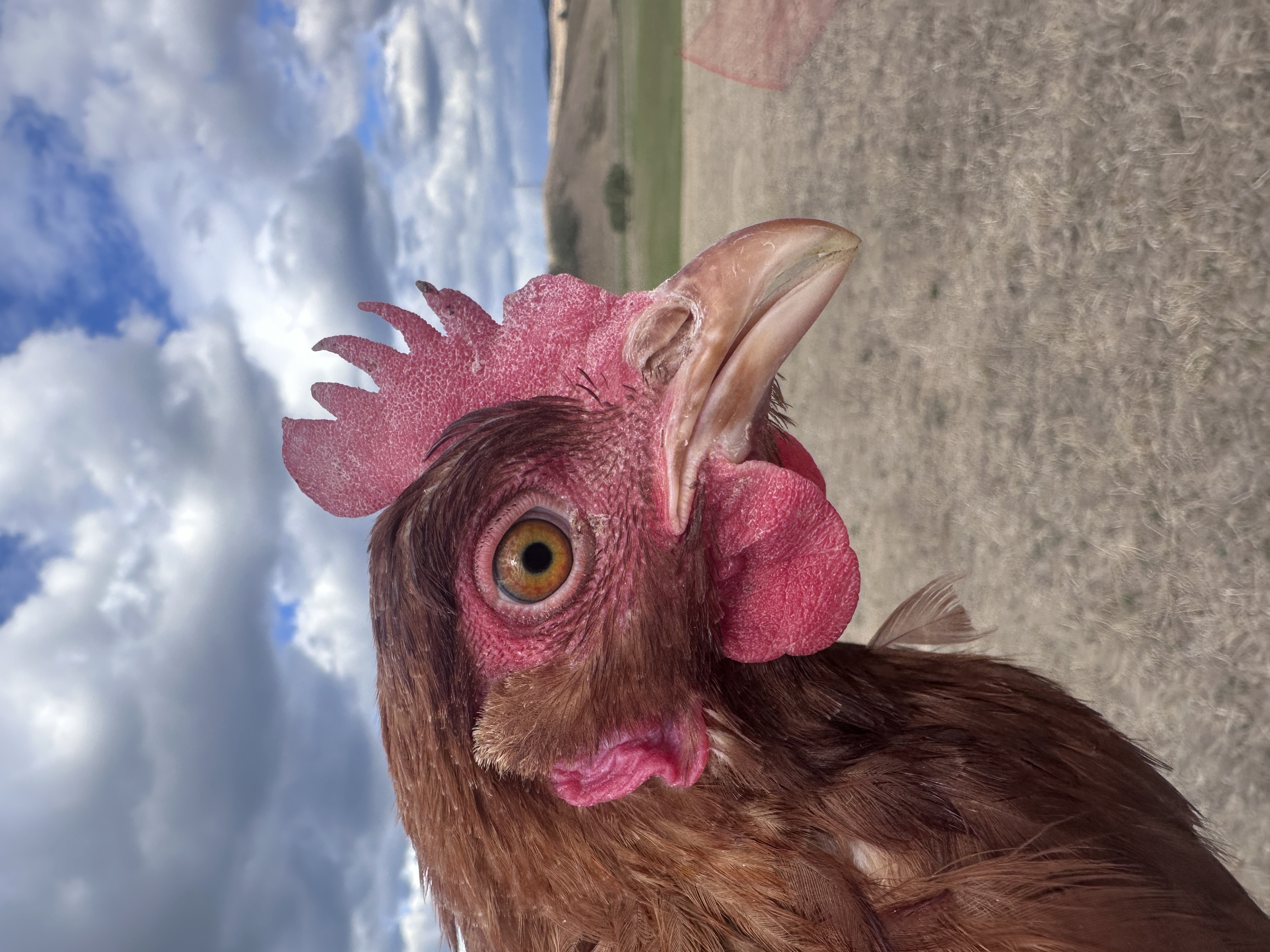 Photo of Pamacs