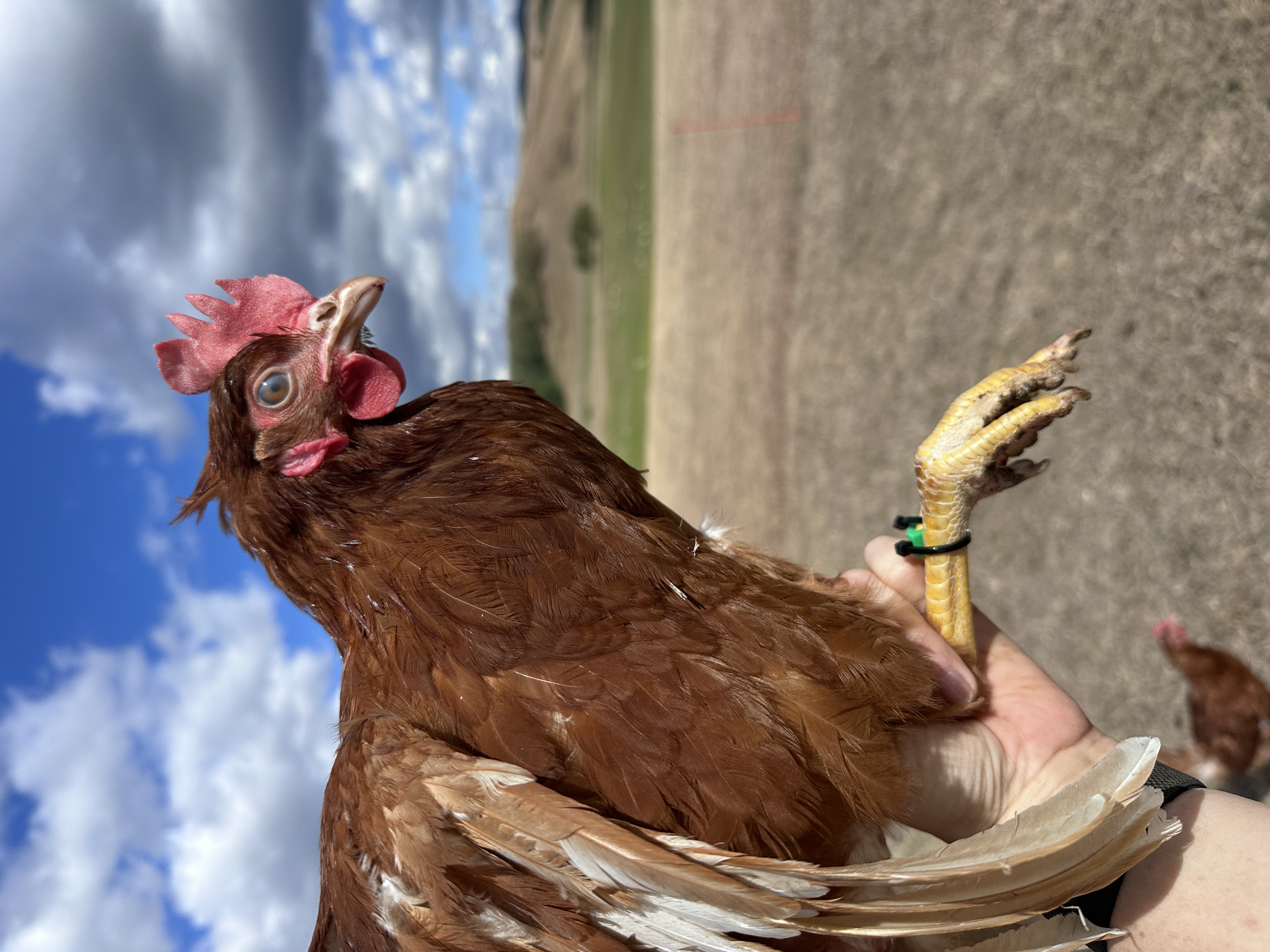 Fotó róla: Hupililla