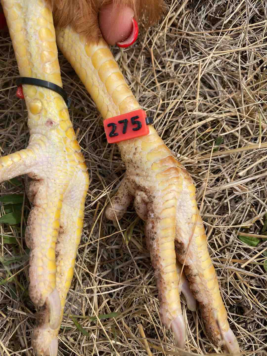 Fotó róla: Mazsi