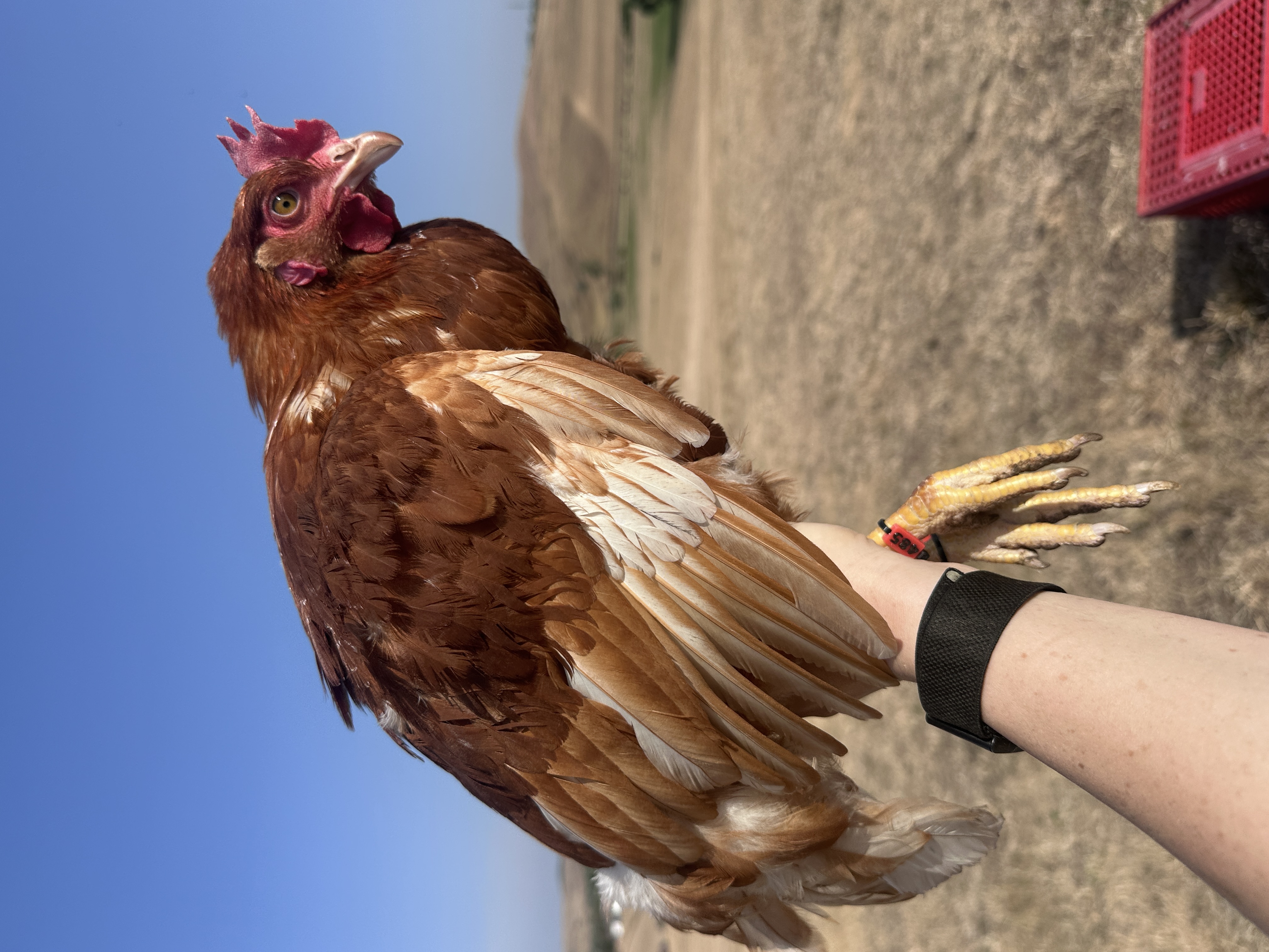 Photo of Frau Hilda