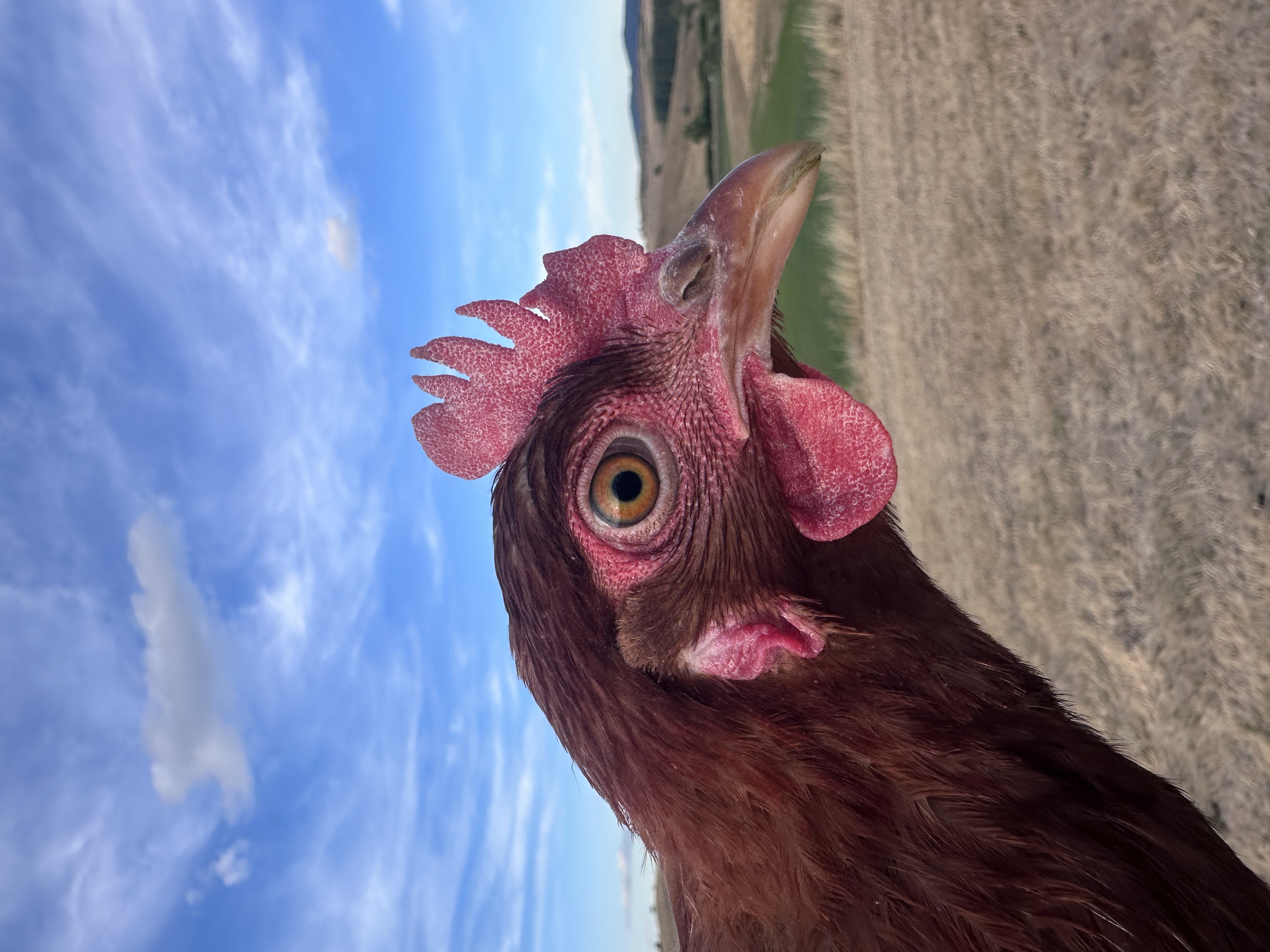 Fotó róla: Bödön