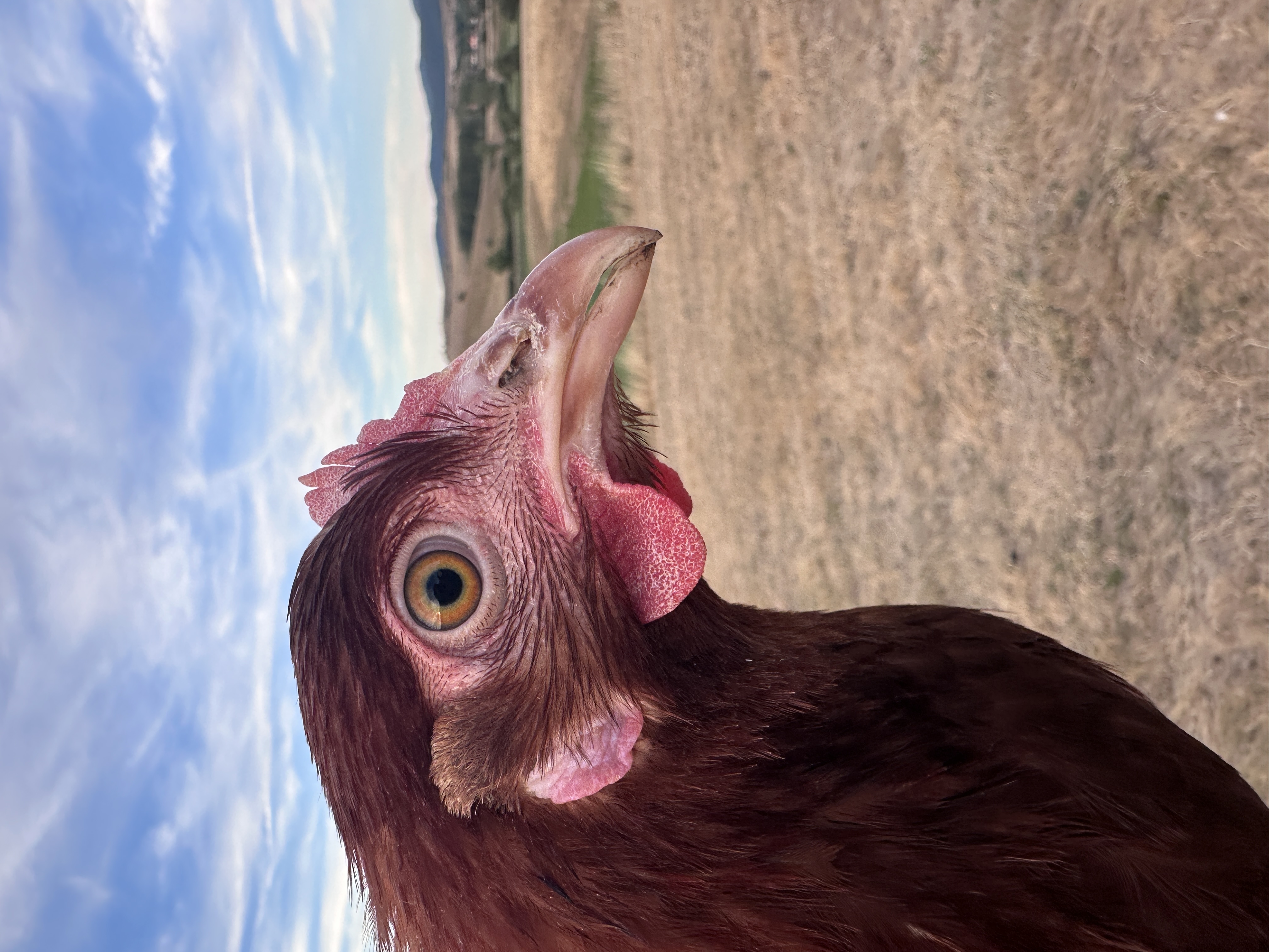 Fotó róla: Azir