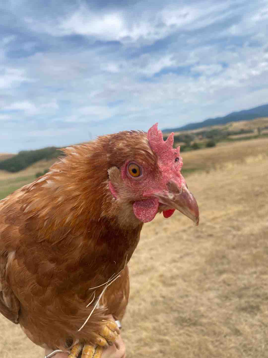 Fotó róla: Retek