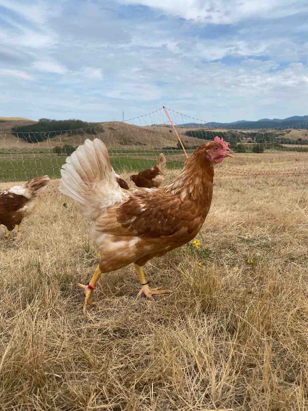 Fotó róla: Retek