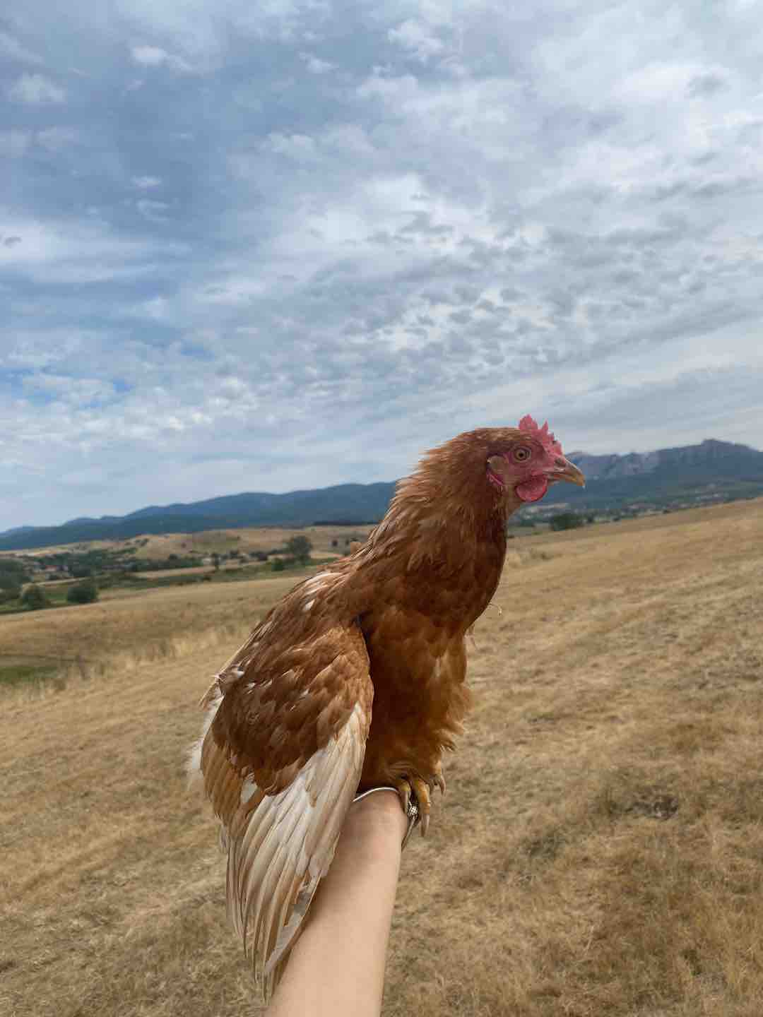 Fotó róla: Retek