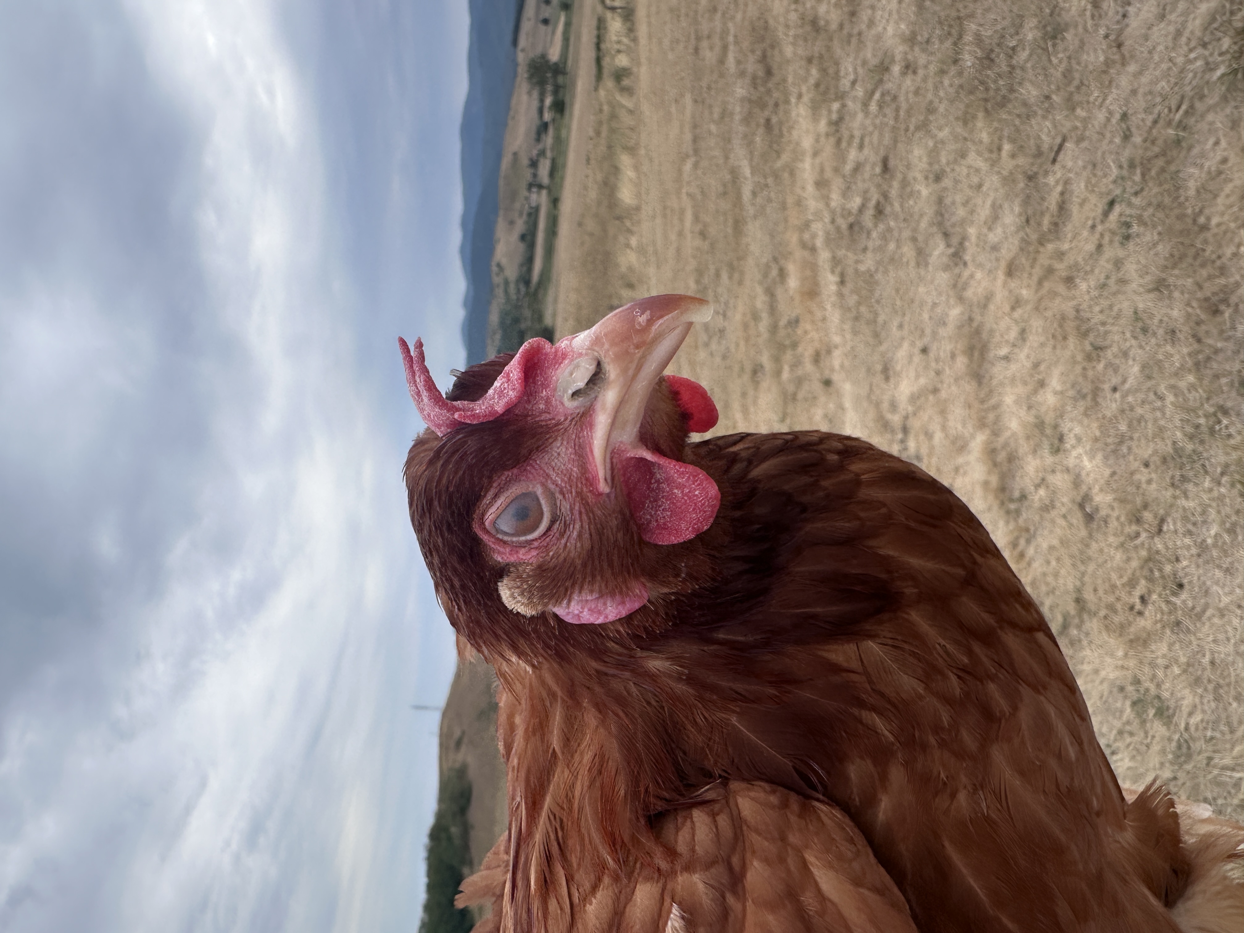 Photo of Füge
