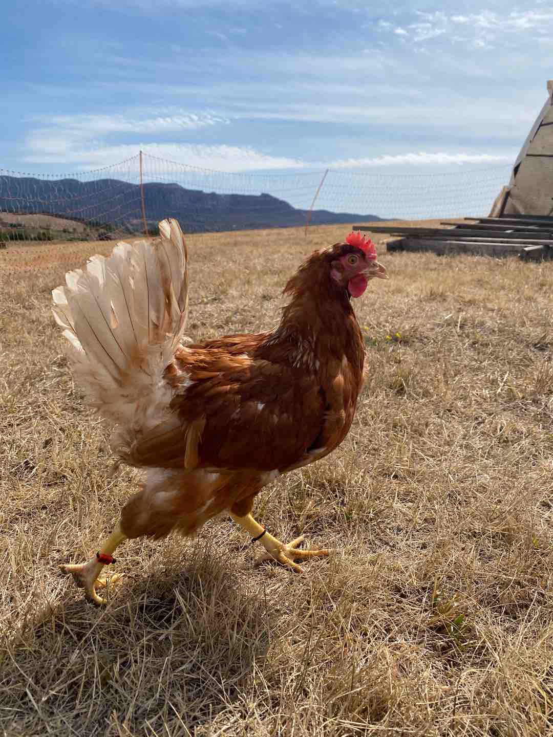 Photo of Hilda