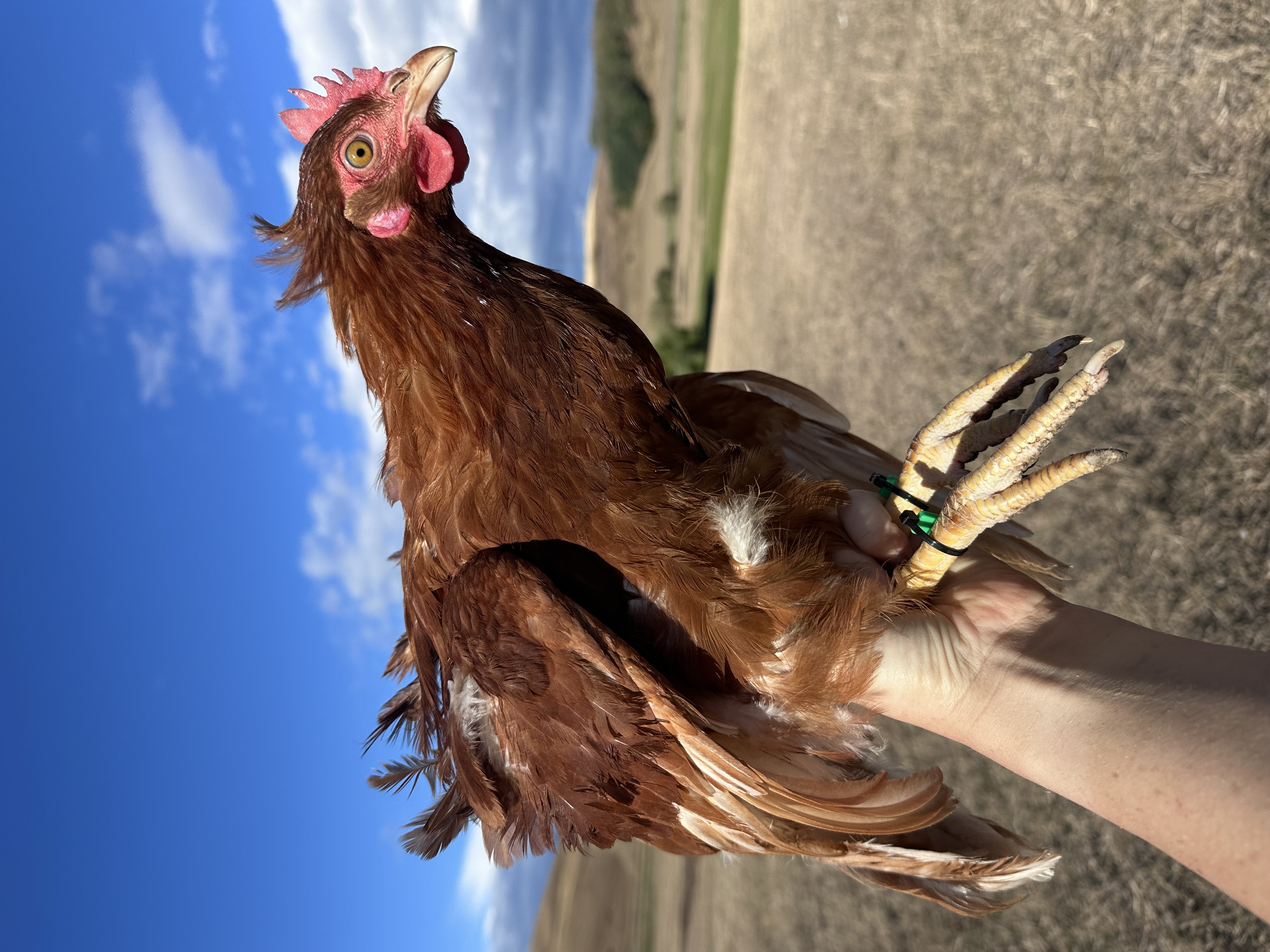 Fotó róla: Bözsike