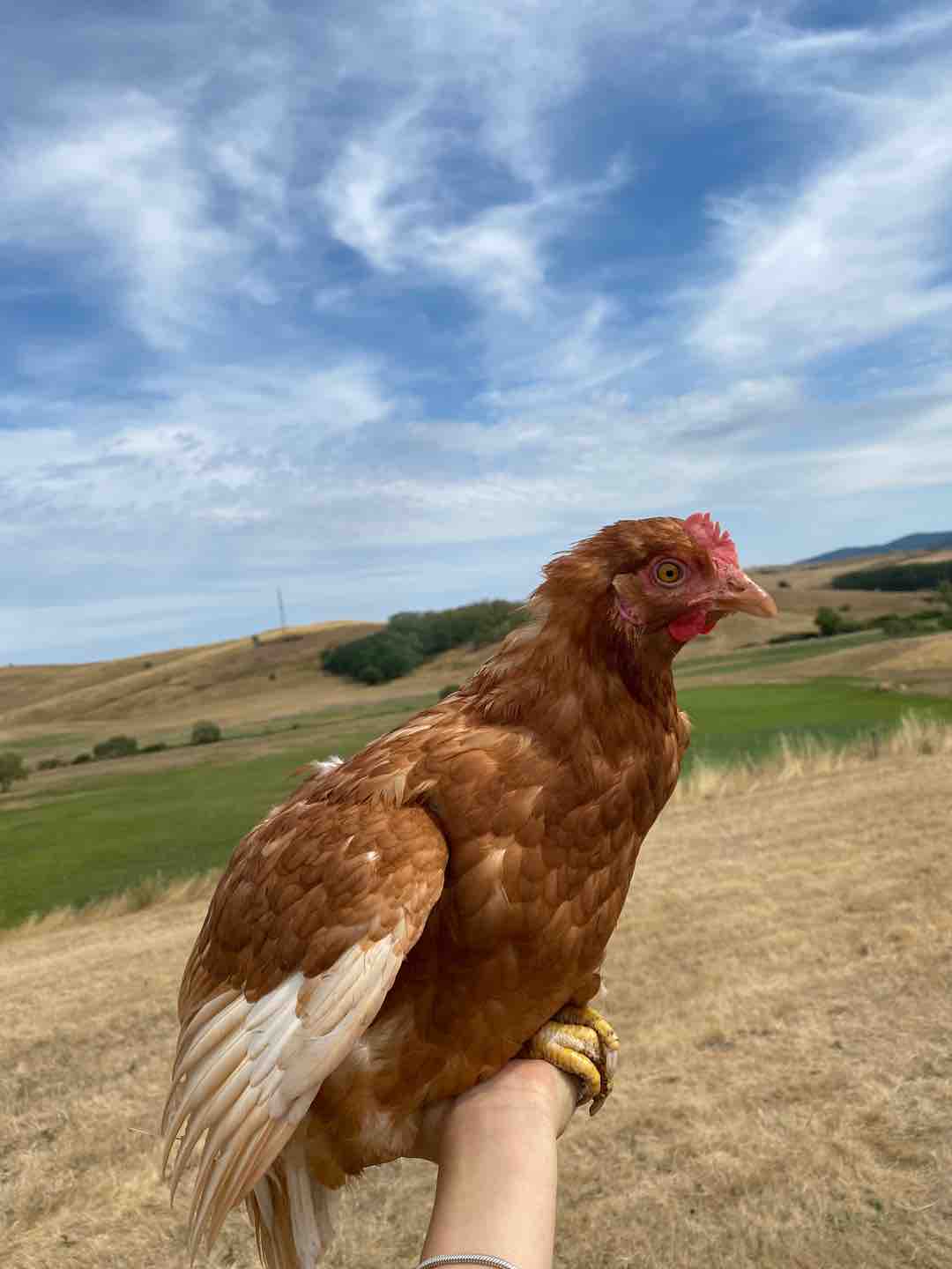 Fotó róla: Vilma