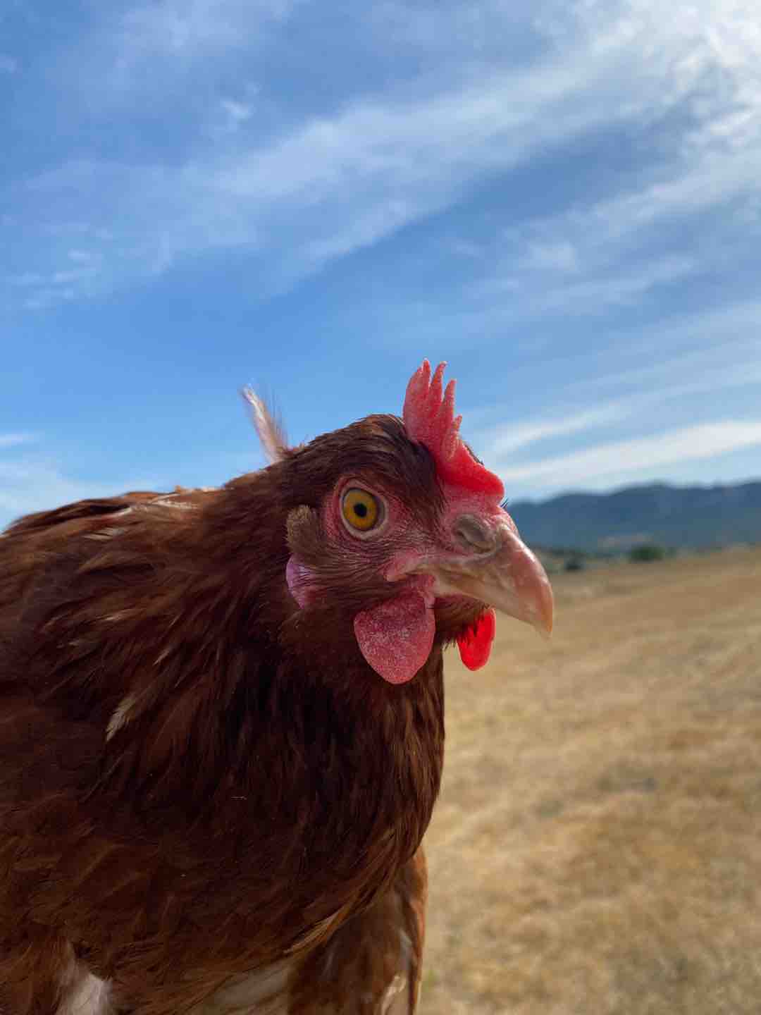 Fotó róla: Jolán