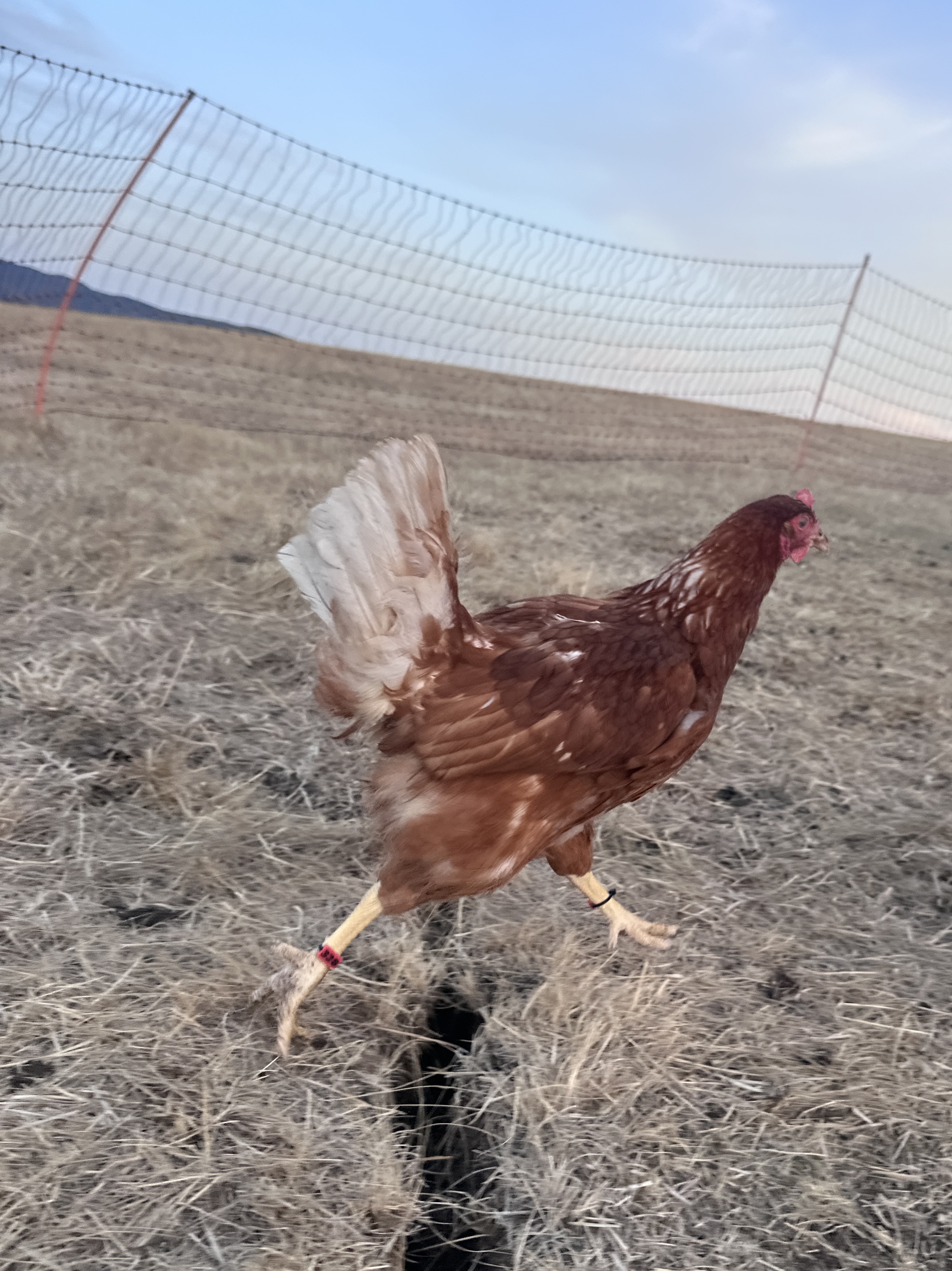 Photo of Mamamia