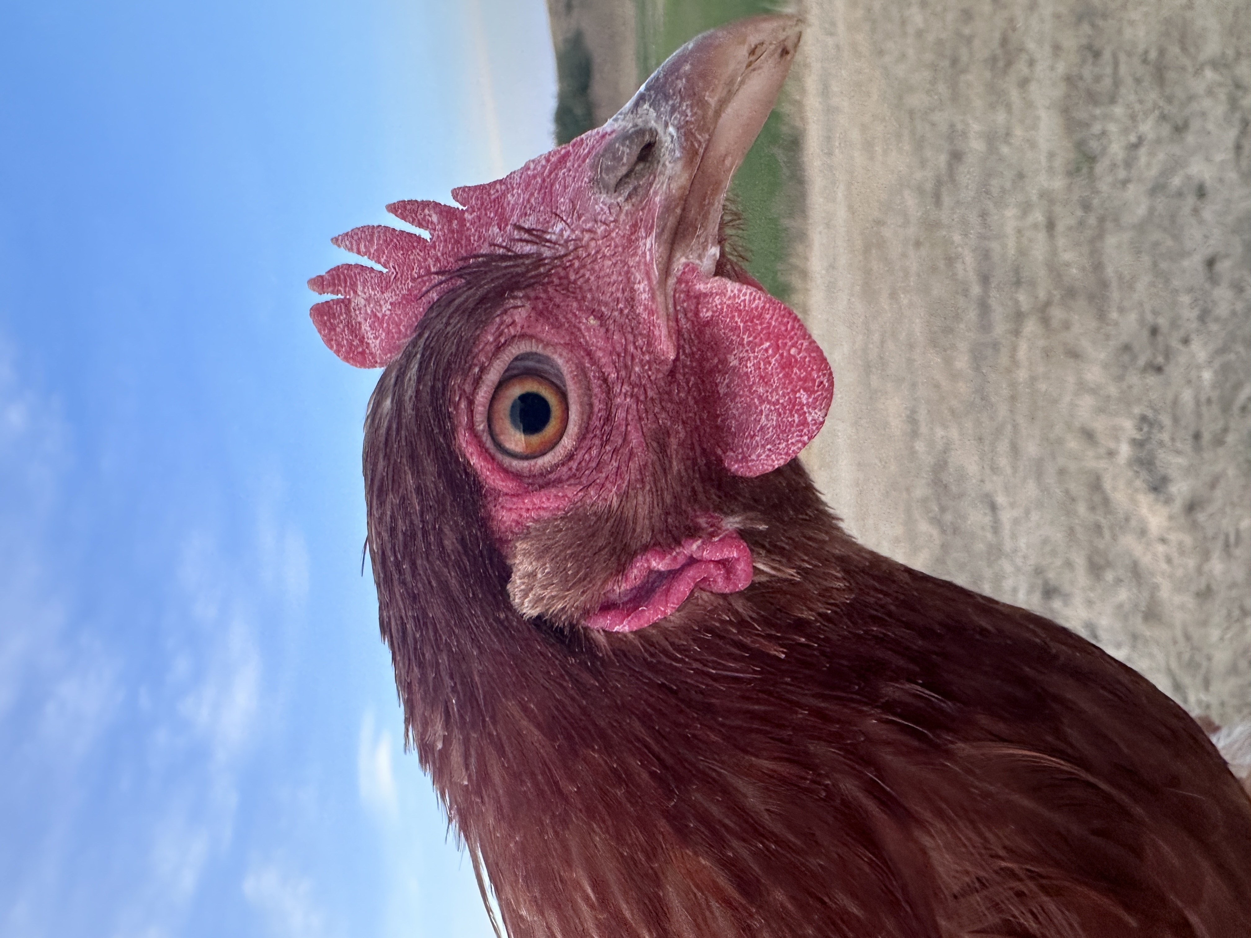 Photo of Mamamia