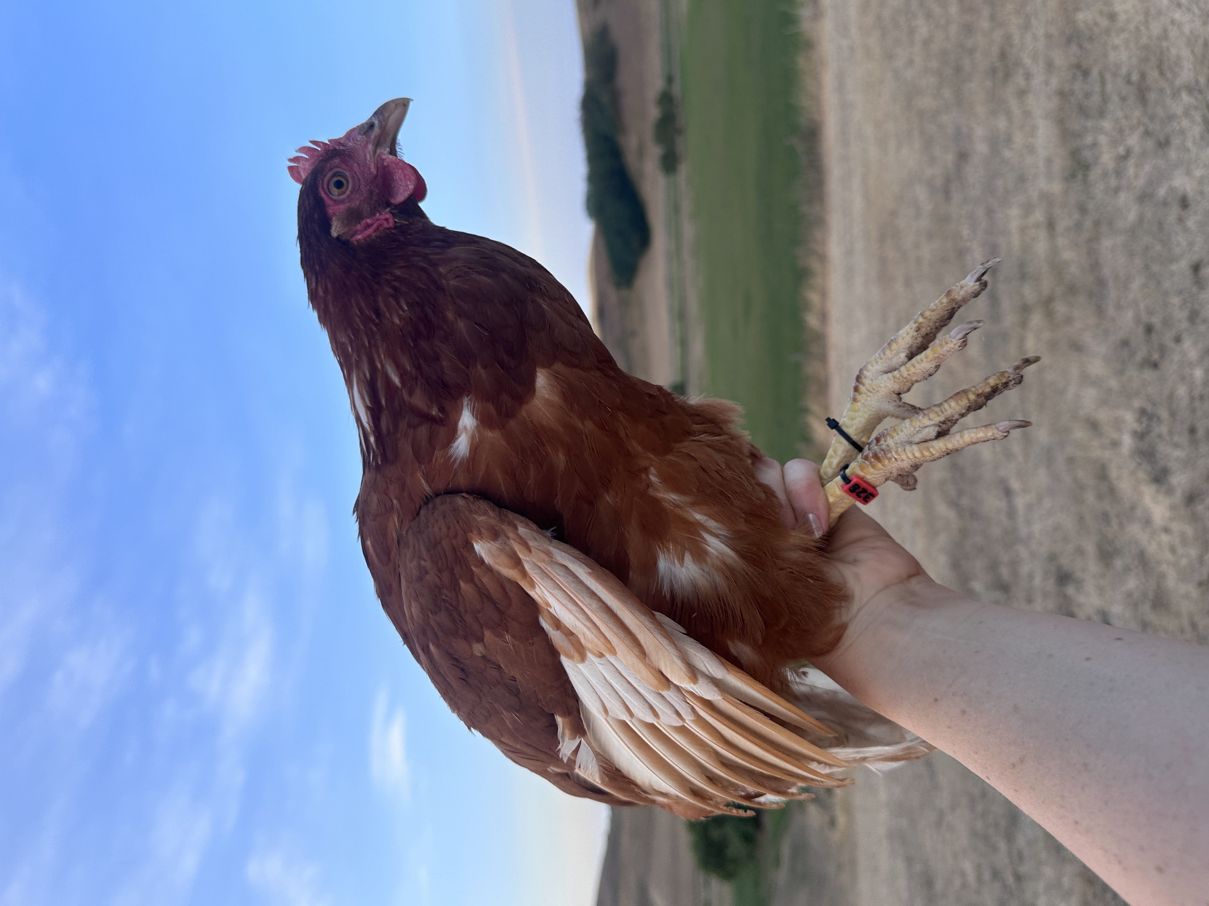 Photo of Mamamia