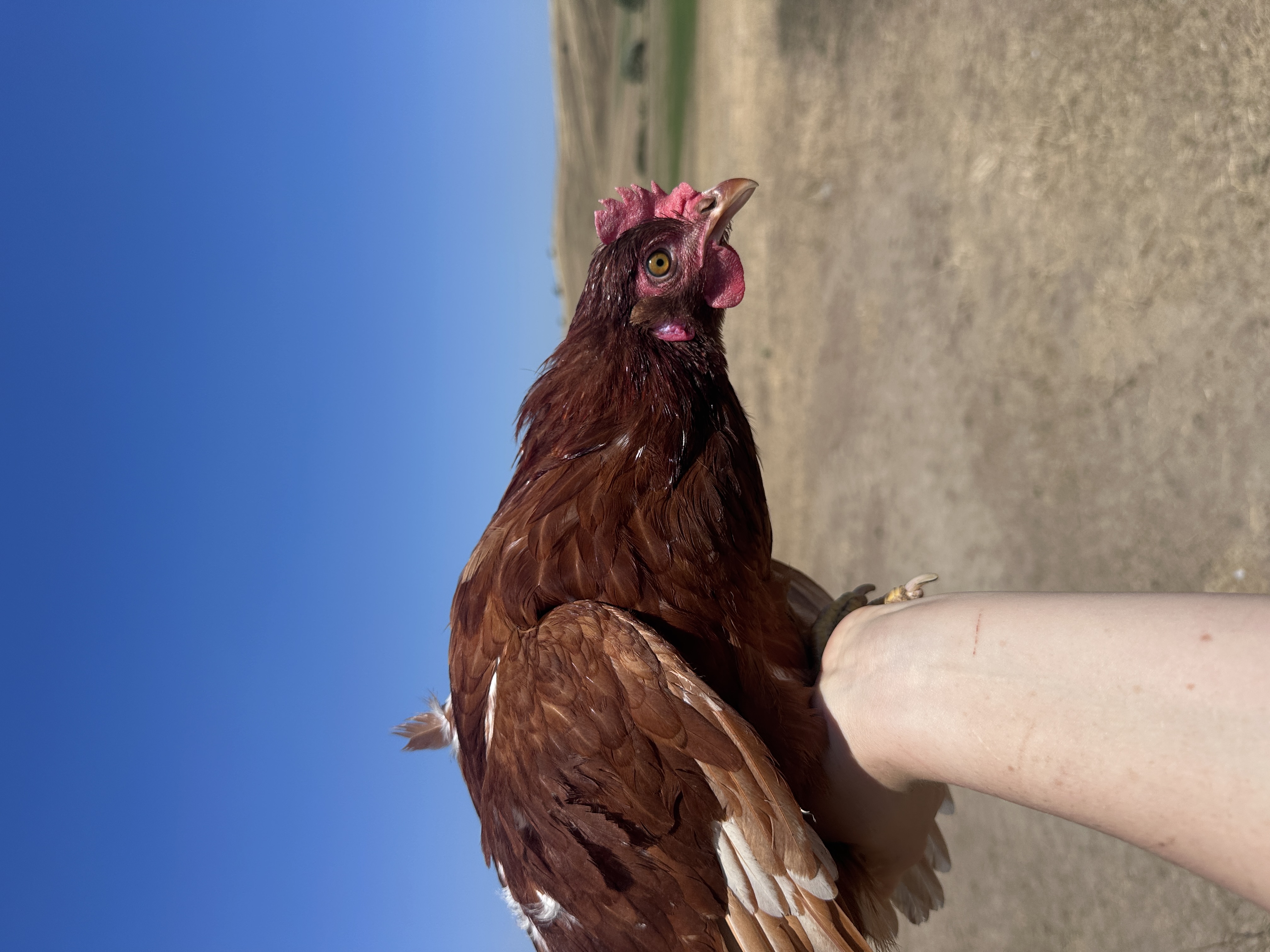 Fotó róla: Margit